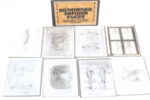 Müller-Seifert Münchener Reform Platte menschlicher Körper 99722 SET – Bild 2
