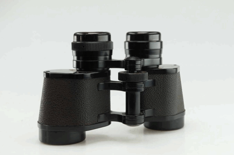 Carl Zeiss West Oberkochem 8x30 Fernglas binoculars Dummy 94654 Rare – Bild 4