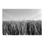 Zeiss Ikon Hologon ultrawide Kamera Camera 15mm f8 lens Contarex 97635 near mint - Image 9