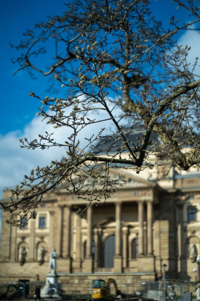 Meyer Optik Görlitz Domiron 50mm f2 Objektiv lens EXA Exakta Anschluss 97116 - Image 7