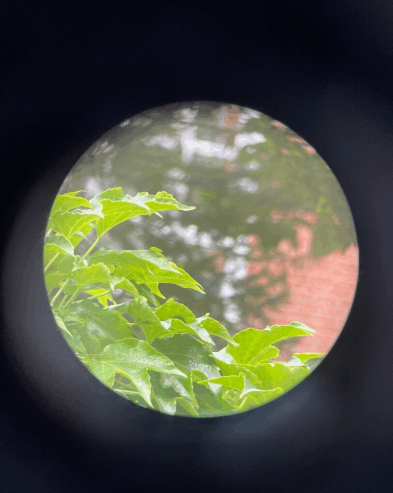 Zeiss Jagdglas 7 1/2x bent sholders Nr 8778 extrem rare 95711 – Bild 7