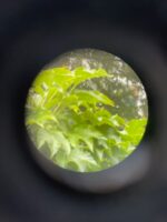 Zeiss Jagdglas 7 1/2x bent sholders Nr 8778 extrem rare 95711 – Bild 8