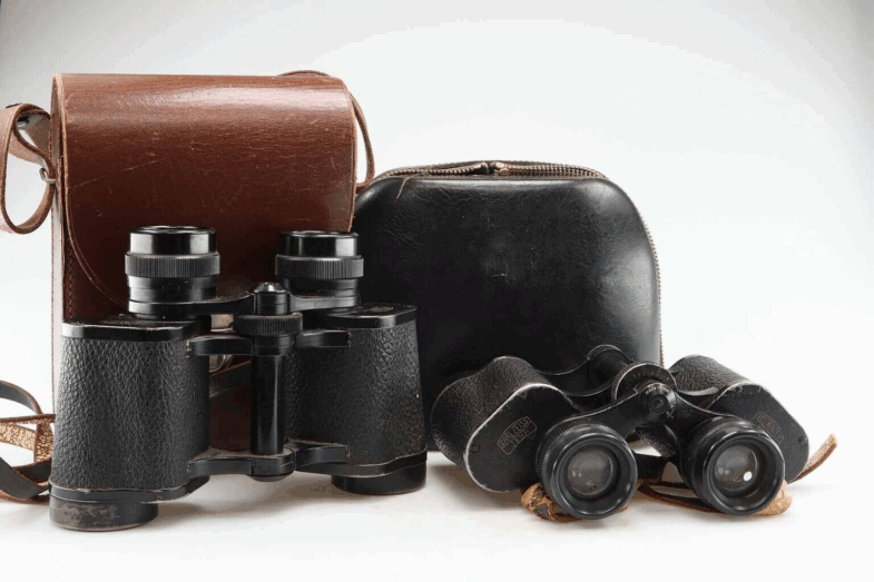 Carl Zeiss Jena Jenoptem 8x30W Deltrintem 8x30 Q1 Fernglas binoculars  95155 LOT - Image 1