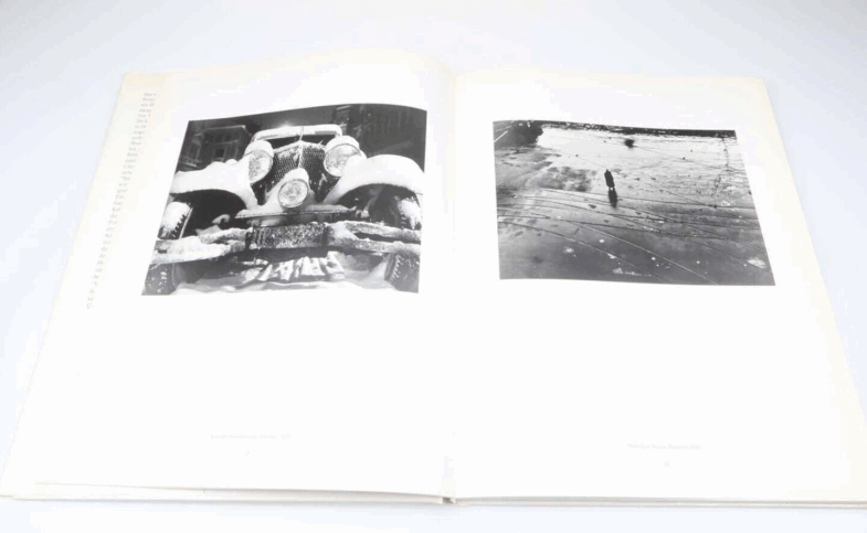 Die Quadratur der Schönheit 1994.  1. Auflage Fritz Henle  Buch book - Image 3