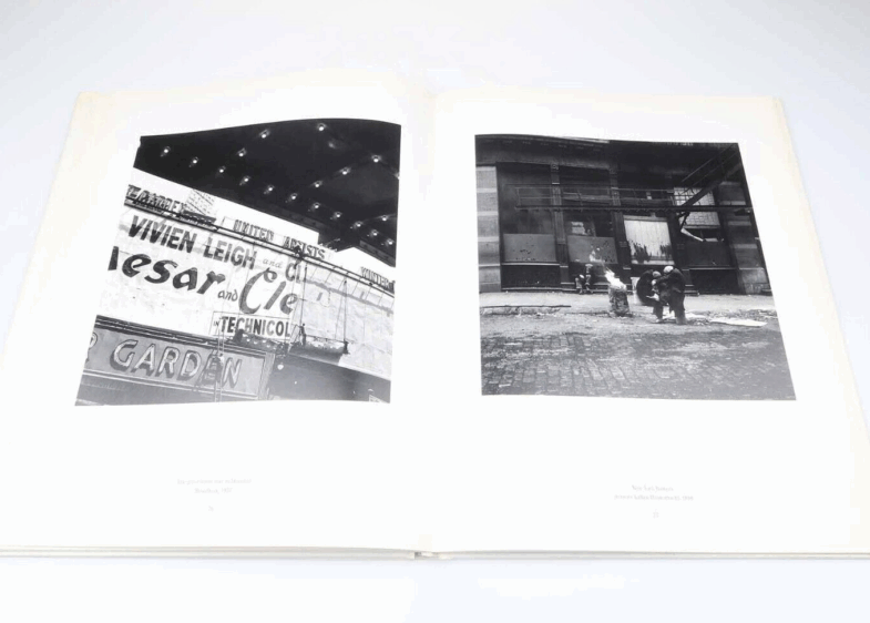 Die Quadratur der Schönheit 1994.  1. Auflage Fritz Henle  Buch book - Image 4